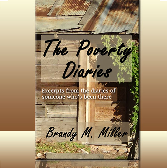The Poverty Diaries book cover